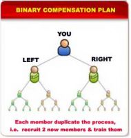 mlm , low cost mlm software, binary mlm software, matrix