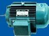 electric motor