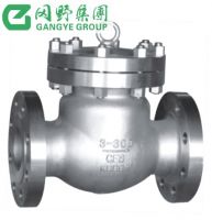 Check valve