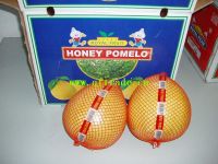 Pomelo