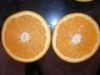 Fresh Navel Orange