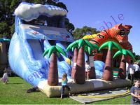 Inflatable Water Slides