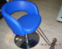 salon beauty equipment -- styling chair SS-2013