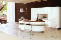 Baked Paint Finish  Kitchen Cabinet