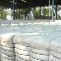 Cotton Fiber