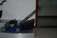 Gasoline Engines/Generators/Water Pumps/Lawn