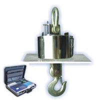 Wireless Crane Scale