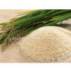 White Rice /Round Grain Rice /Short