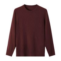 2026 Men's  Woollen Sweater