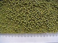 mung bean