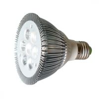 PAR30 LED LIGHT