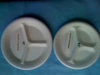 Biodegradable Food Packaging