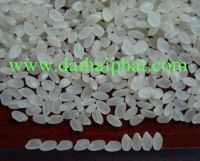 Vietnamese White Rice: Short Rice, Long