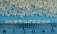 Short Rice Jasmine 5% Broken Usd465