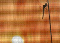 Insect Screen