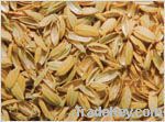 Rice Husks