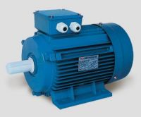 Sell Electric Motor ( Y2 SERIES THREE