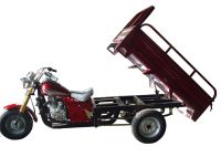 Cargo Trikes