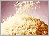 RICE SUPPLIER| PARBOILED RICE IMPORTERS | BASMATI RICE EXPORTER| KERNAL RICE WHOLESALER| WHITE RICE MANUFACTURER| LONG GRAIN TRADER| BROKEN RICE BUYER | IMPORT BASMATI RICE| BUY KERNAL RICE| WHOLESALE WHITE RICE| LOW PRICE LONG GRAIN