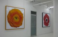Art And Picture Hanging Systems