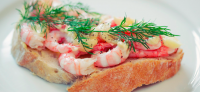 Norwegian Shrimp frozen 