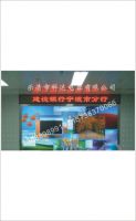 LED Display