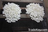 TAGUA (COROZO) BLANKS