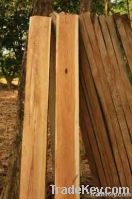 TEAK Boards and Lumber ECUADOR