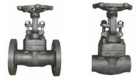 Forged Steel Valve