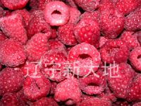 IQF Raspberry, Blueberry