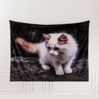 3d Digital Print Throw Blanket Customized Cute Cat Pattern