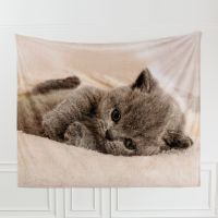 High-definition Digital Print Throw Blanket Customized Cat Pattern