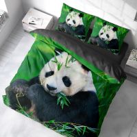 Customized 3D Digital Printed Microfiber Bedding Set with Cute Panda Design, Unique Gift For Kids