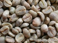 Arabica coffee beans from Yunnan Province China