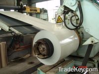 Prepainted galvanized steel coils Z100