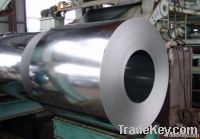 Galvanized steel coils Z100(GI)