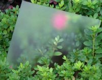 low iron patterned solar glass