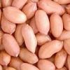 PEANUT