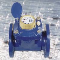 Woltman Detachable Water Meter