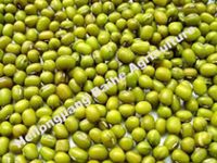 MUNG BEAN From China