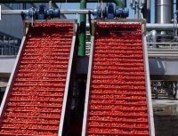 tomato sauce making line,tomato ketchup processing line