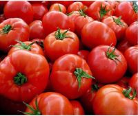 ketchup filling line/tomato paste production line in small investment