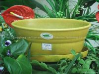 Eco-friendly, Harmless Flowerpots