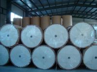 pe coated paper