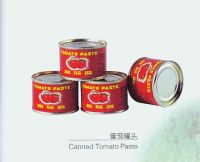 Tomato Paste