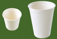 biodegradeable cup