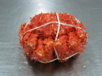 Chilean King Crab