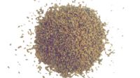 Ajwain
