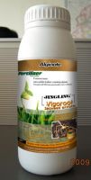 1000g vigoroot(seaweed fertilizer)