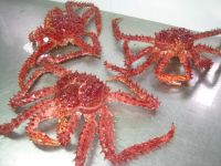 Chilean King Crab